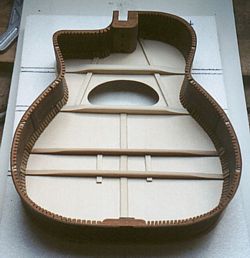 Inside the Maccaferri type guitar